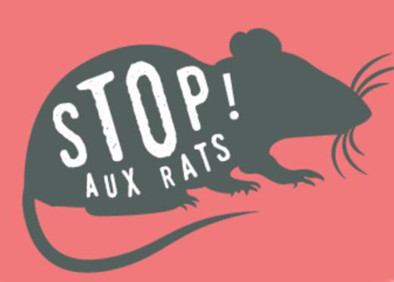 les rats.png